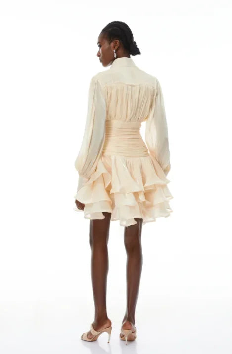 Elegant High Collar Ruffled Mini Dress
